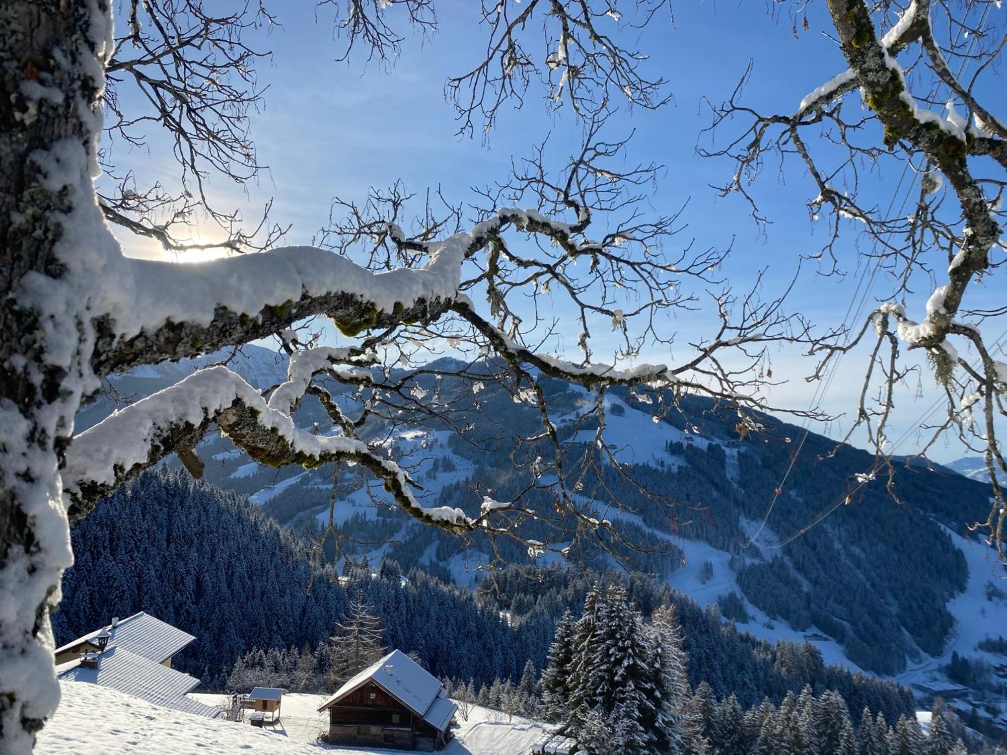 Landhaus Flasch Wagrain Buitenkant foto